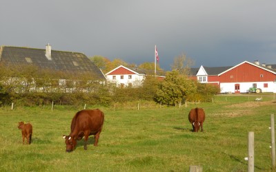 Til alle der elsker Flynderupgård og dyrene på gården
