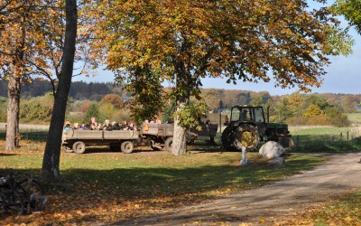 Efterårsferie er kartoffelferie