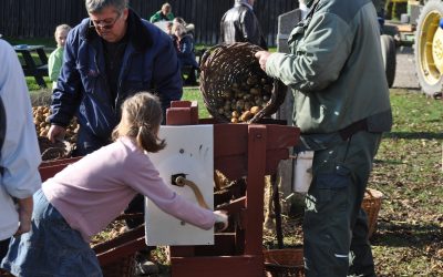 Efterårsferie i uge 42