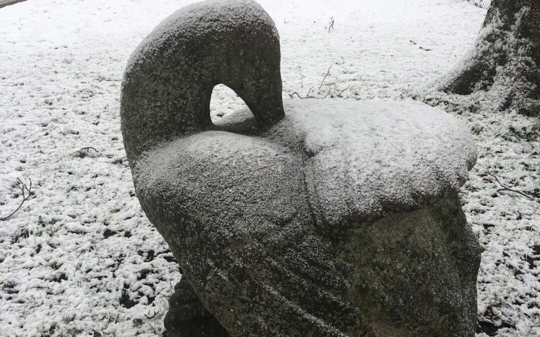 Generalforsamling 2026