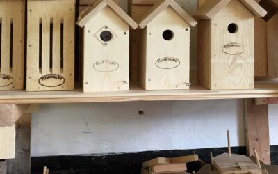 Vinterferie for børn i uge 7