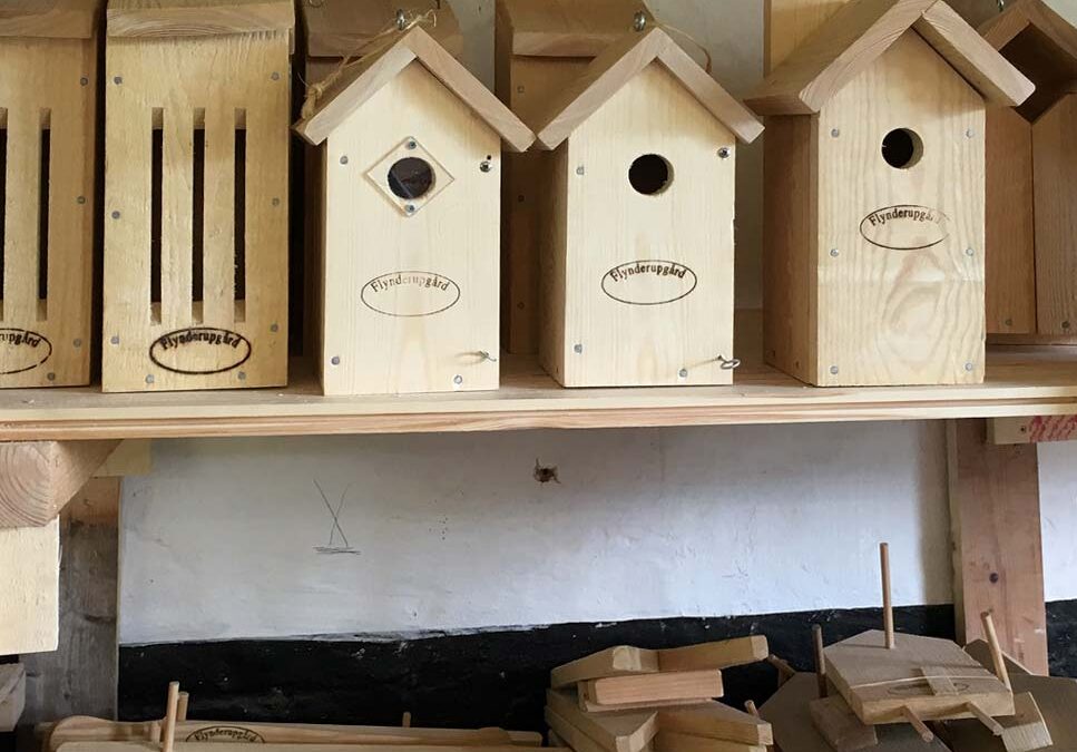 Vinterferie for børn i uge 7